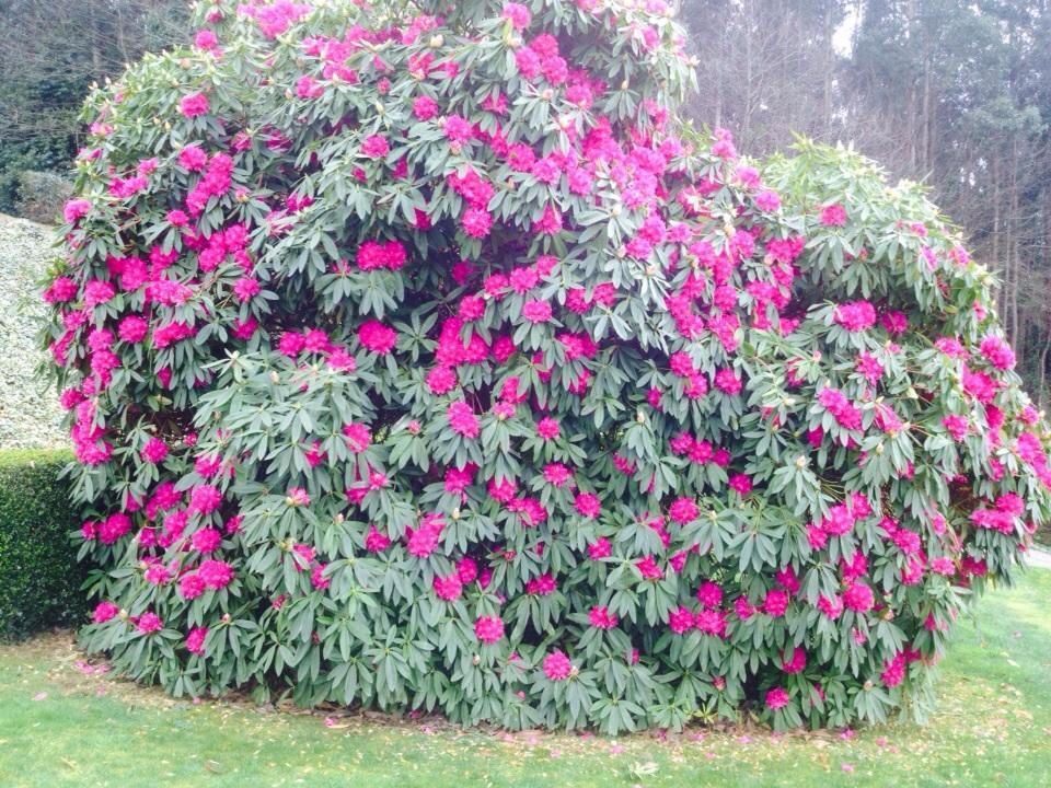 Casa Das Veigas Abegondo Esterno foto